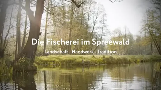 Videovorschau: Die Fischerei im Spreewald: Landschaft, Handwerk, Tradition.